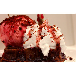 Belgian Waffle Premix Salted Red Velvet 4000g